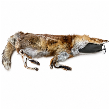 Real Fox i ægte skind - Limited Edition