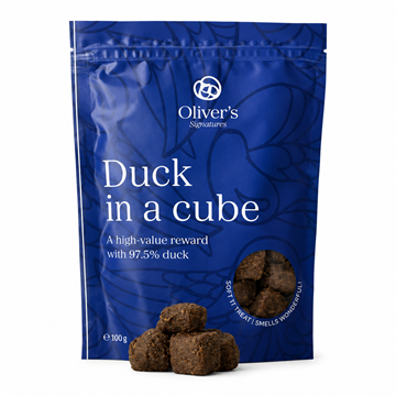 OLIVER´S SIGNATURE DUCK IN A CUBE