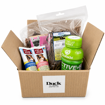 Snacks Box 