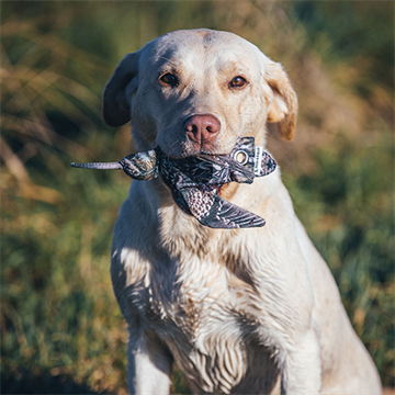 Dog & Field The Original Clone Dead Bird Dummy Mini Snipe, 100 gr. (NY)