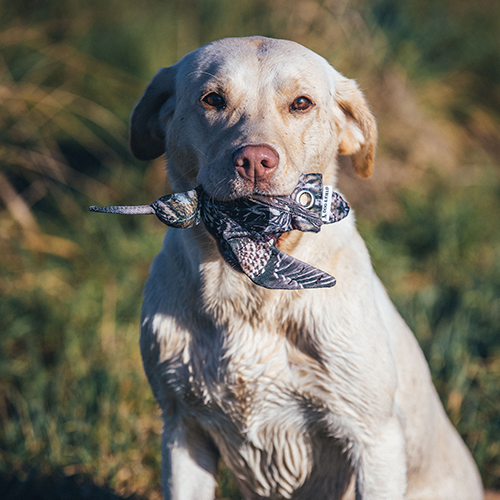 Dog & Field The Original Clone Dead Bird Dummy Mini Snipe, 100 gr. (NY)