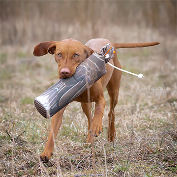 Dog & Field The Original Clone Goose Dummy, 1,5 kg