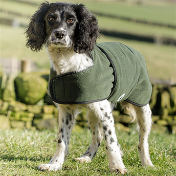 Dog & Field Dual Layer Olive Toweling Coat, str. L