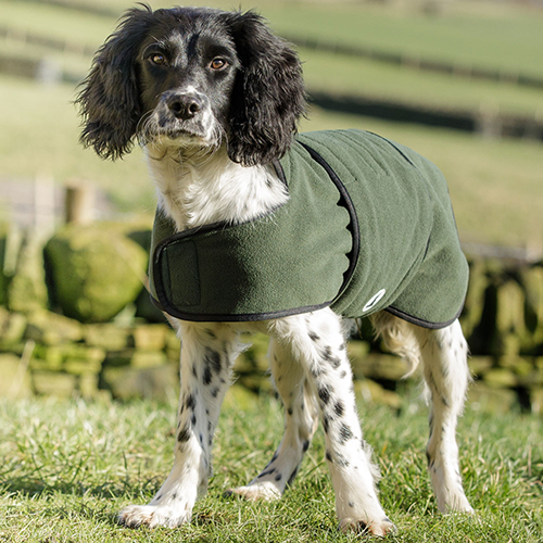 Dog & Field Dual Layer Olive Toweling Coat, str. M