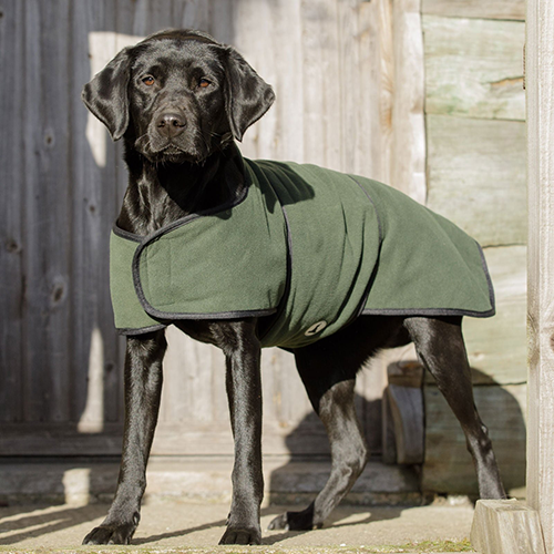 Dog & Field Dual Layer Olive Toweling Coat, str. XXL