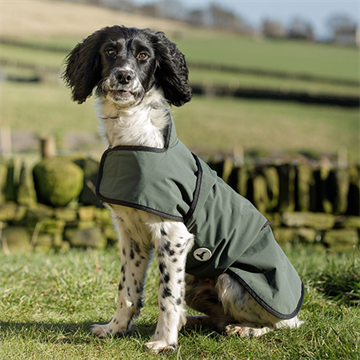 Dog & Field 2-in-1 Waterproof Drying Coat, tørredækken til hund, str. L