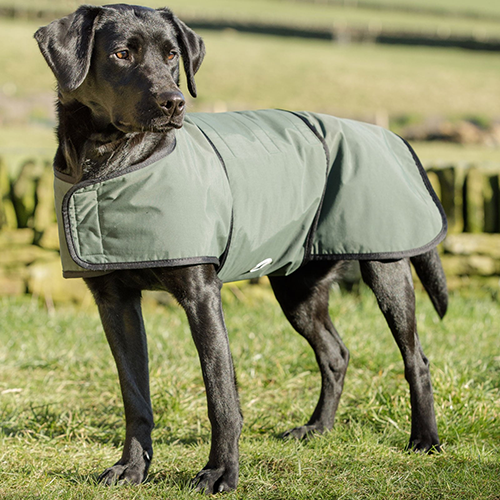 Dog & Field 2-in-1 Waterproof Drying Coat, tørredækken til hund, str. XL