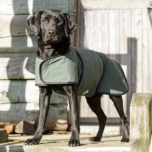 Dog & Field 2-in-1 Waterproof Drying Coat, tørredækken til hund, str. XXL