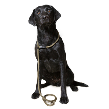 Dog & Field Nylon Slip Lead, 1,5 m., 12 mm, olivengrøn