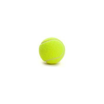 Tennisbold til hundetræning, ø6,4